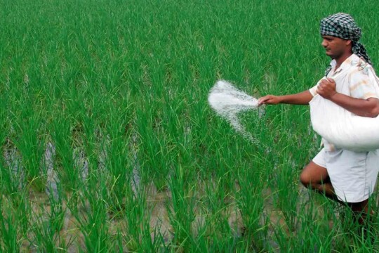 Price of chemical fertilizers increased by 5 taka per kg