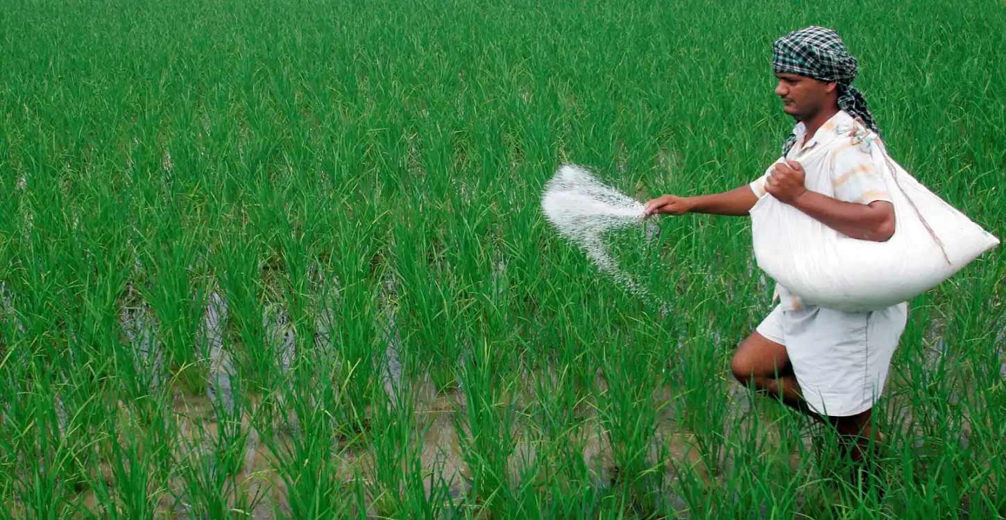 Price of chemical fertilizers increased by 5 taka per kg