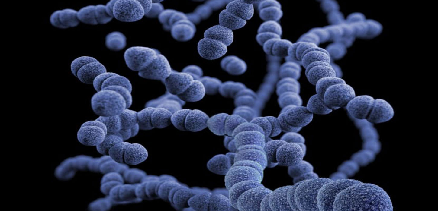 Bacterial infections: Second leading cause of death worldwide