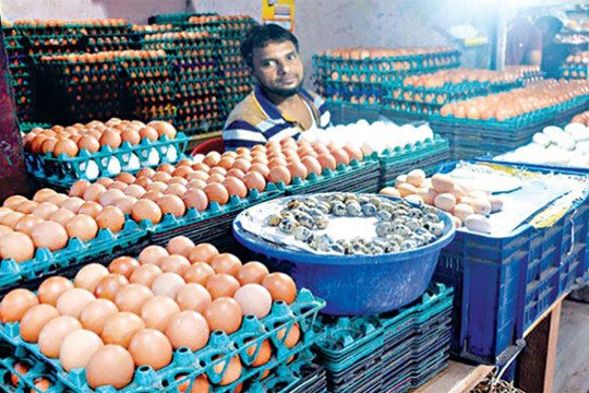 No need to import eggs says agriculture minister
