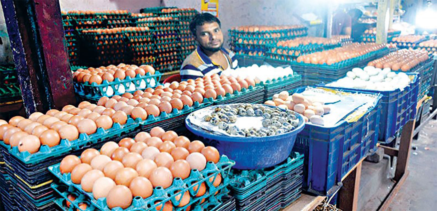 No need to import eggs says agriculture minister