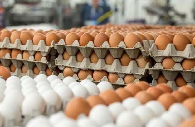 Egg prices jumped to Tk140 per dozen again in Dhaka