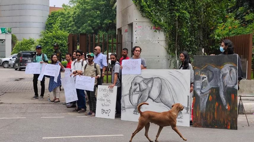 Animal lovers seek justice for elephant killing