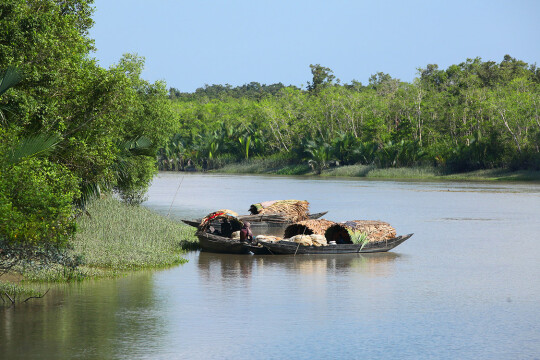 Fishing and tourism in Sundarbans banned for 3 months