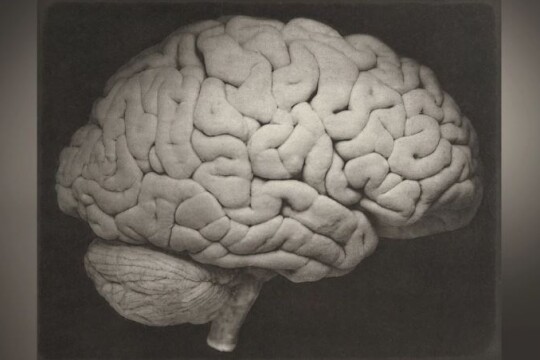 Did humans 3000 years ago have bigger brains than us?