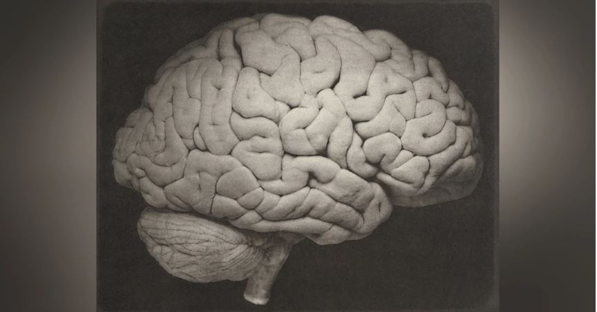 Did humans 3000 years ago have bigger brains than us?