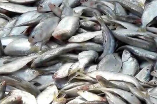 Jatka Conservation Week begins March  31