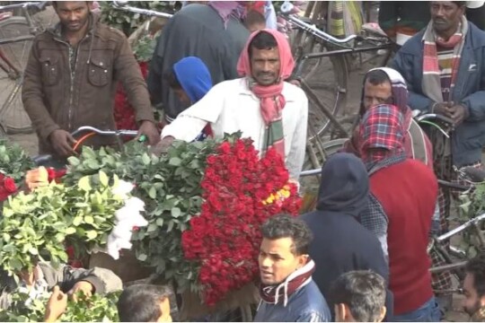 Ahead of Ekushey, Pahela Falgun and Valentine’s Day in Feb, Jashore flower farmers eye huge sales