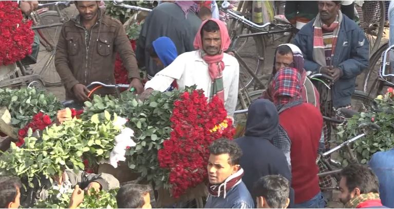 Ahead of Ekushey, Pahela Falgun and Valentine’s Day in Feb, Jashore flower farmers eye huge sales