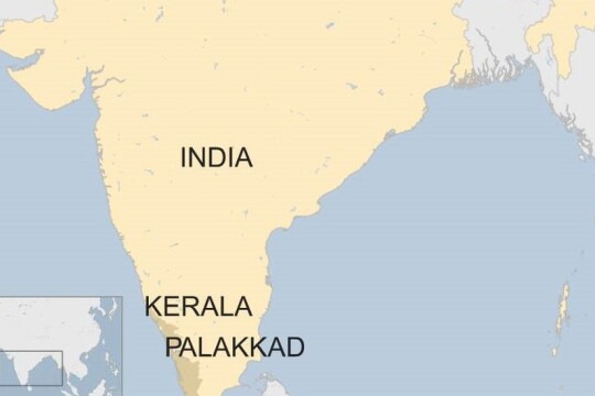 African swine fever cases detected in southern Indian state