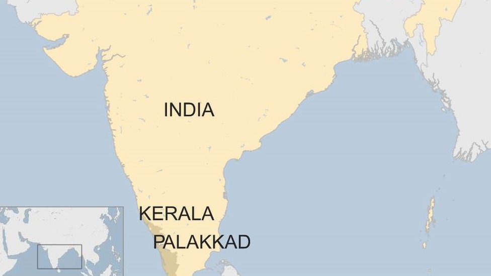 African swine fever cases detected in southern Indian state