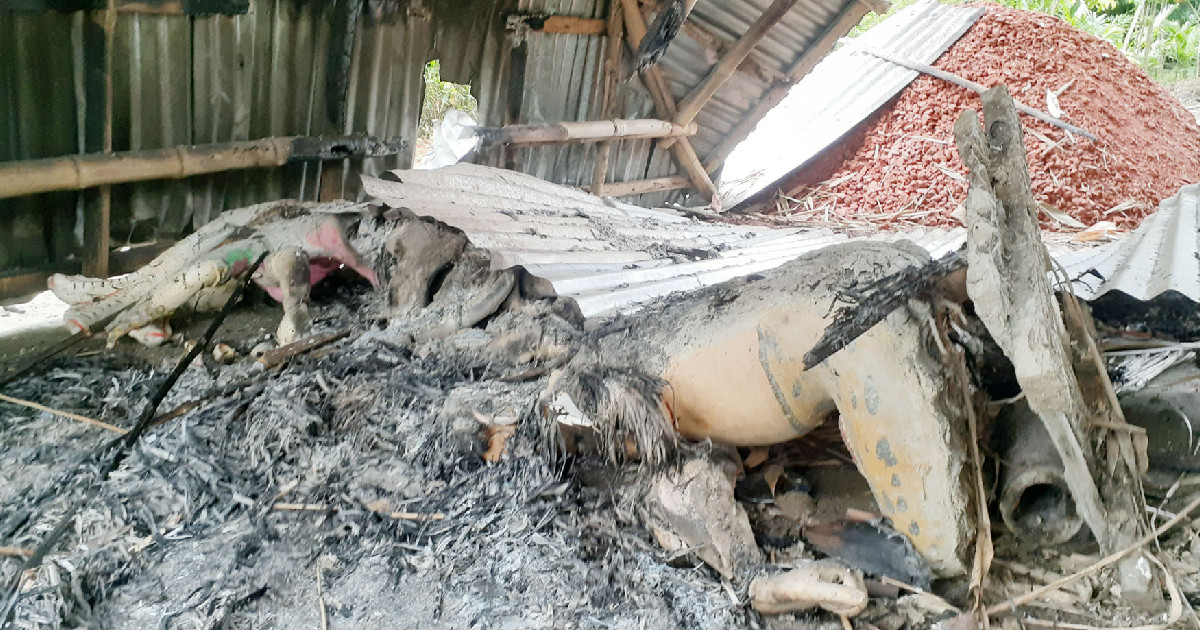 Idols desecreted, temple set afire in Kurigram