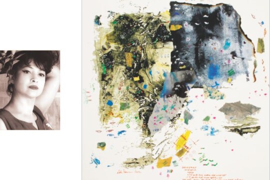 Laila Sharmeen’s 12th solo exhibition begins at Alliance Française de Dhaka on Saturday