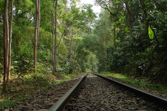 Human remains recovered from Lawachara National Park