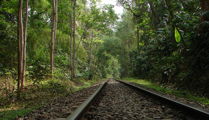 Human remains recovered from Lawachara National Park