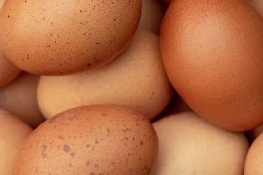 Farm egg prices go up again