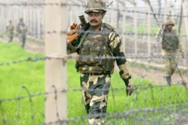 BSF tortures Bangladeshi farmer near Chapainawabganj border