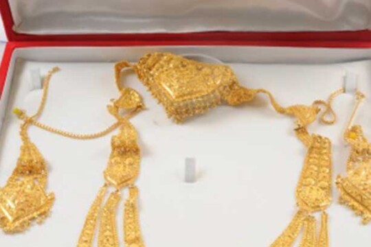 45 bhori gold stolen from former police official's home