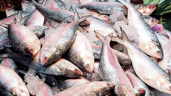 Legal notice served on govt to stop Hilsa exporting to India