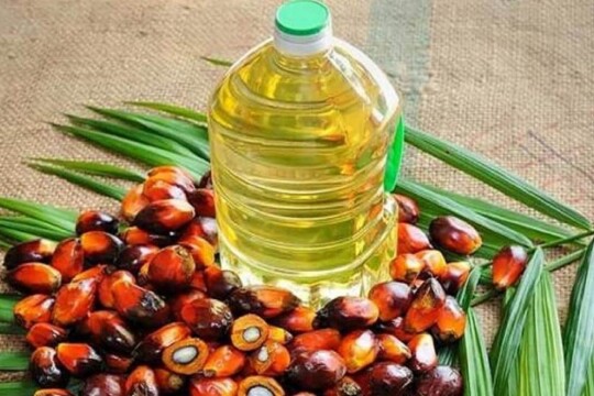 13mn litres of palm oil on way to Chattogram from Indonesia