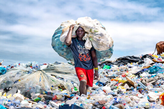 Study finds plastic recycling remains a myth