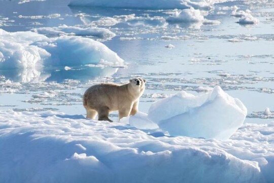 World soon likely to experience 1.5C of warming