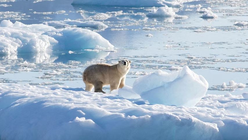 World soon likely to experience 1.5C of warming
