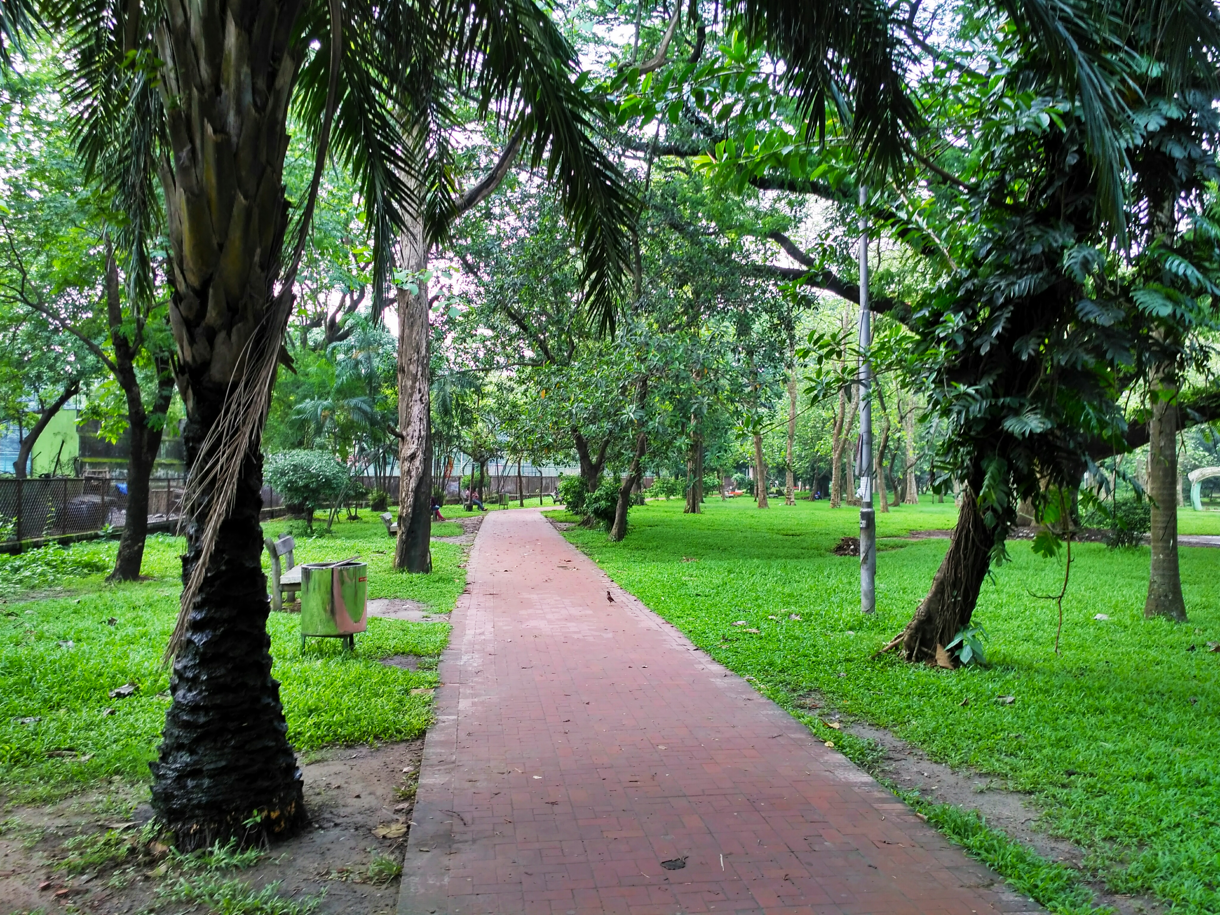 Ramna_Park,_Dhaka_-1