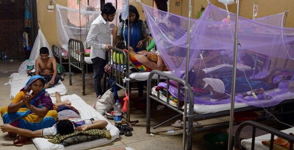 Dengue Situation: 189 hospitalizations reported in 24 hours