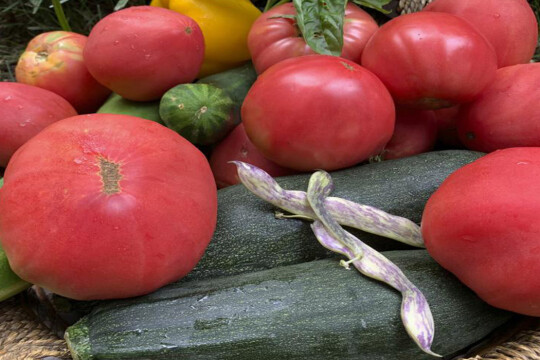 Gardening: How to save vegetable seeds for next year