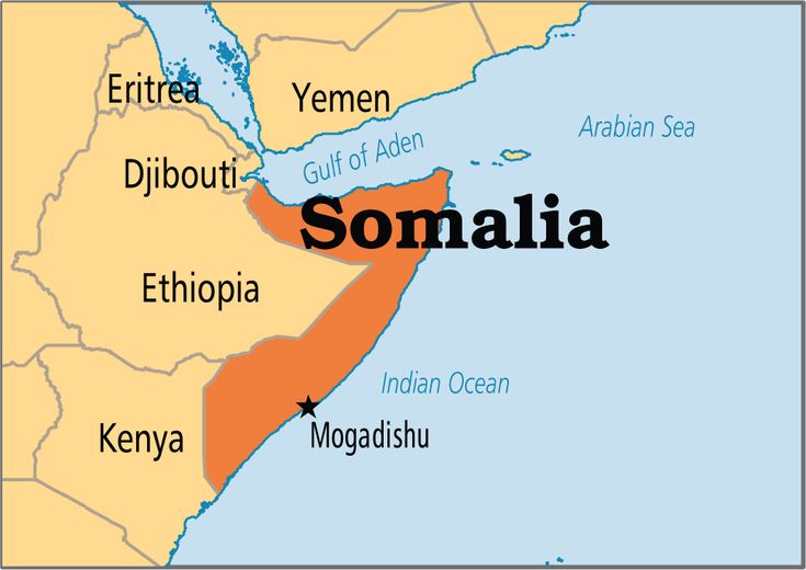 Somali militia beheads Islamist insurgents after battle