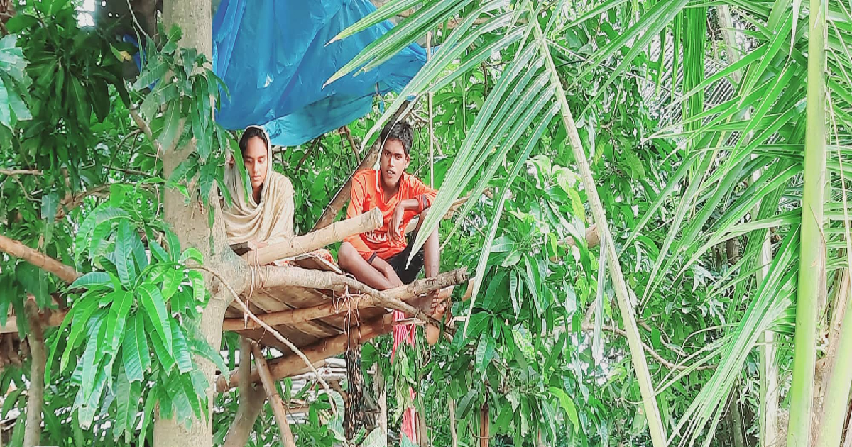 Sunamganj siblings spend 17 days on a tree during flood