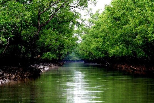 Sundarbans tourism to cost more as authorities move to boost revenue income