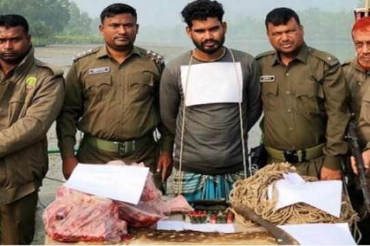 Individual detained with 20kg venison from Sundarbans