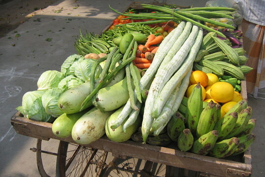 Global food prices hit highest level in over a decade